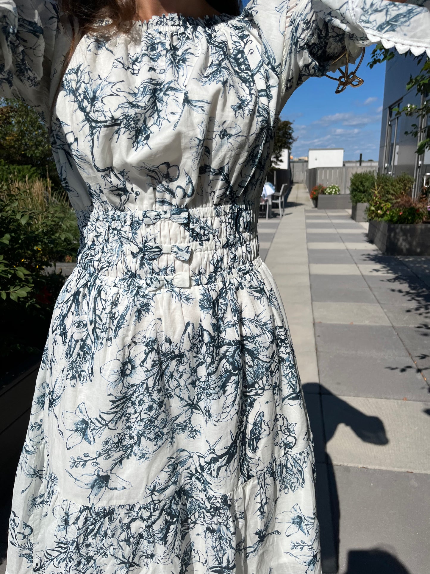 Toile Dress